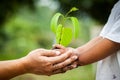 Child with parents hand holding young tree in soil together