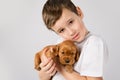 Child pet friendship concept - Portret of little boy with red puppy on white background Royalty Free Stock Photo