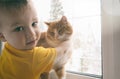 Child and pet at home. Little toddler boy hugs red ginger tabby cat and looking at camera. Domestic animal and kid friendship. Royalty Free Stock Photo