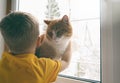 Child and pet at home. Little toddler boy hugs red ginger tabby cat while looking out fo window. Domestic animal and kid Royalty Free Stock Photo