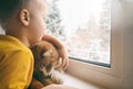 Child and pet at home. Little toddler boy hugs red ginger tabby cat while looking out fo window. Domestic animal and kid love and Royalty Free Stock Photo