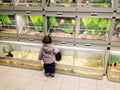 Child in pet shop Royalty Free Stock Photo