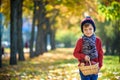 Child picking apples in autumn. Little baby boy playing in apple tree orchard. Kids pick fruit in a basket. Toddler eating fruits Royalty Free Stock Photo