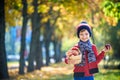 Child picking apples in autumn. Little baby boy playing in apple tree orchard. Kids pick fruit in a basket. Toddler eating fruits Royalty Free Stock Photo