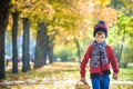 Child picking apples in autumn. Little baby boy playing in apple tree orchard. Kids pick fruit in a basket. Toddler eating fruits Royalty Free Stock Photo