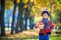 Child picking apples in autumn. Little baby boy playing in apple tree orchard. Kids pick fruit in a basket. Toddler eating fruits Royalty Free Stock Photo