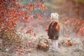 Cute little girl with a basket of red apples in the fall in the park Royalty Free Stock Photo