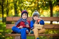 Child picking apples on a farm in autumn. Little boy sitting on bench in apple tree orchard. Kids pick fruit in a basket. Toddler Royalty Free Stock Photo