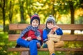 Child picking apples on a farm in autumn. Little boy sitting on bench in apple tree orchard. Kids pick fruit in a basket. Toddler Royalty Free Stock Photo