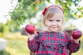 Child picking apples on farm in autumn. Little girl playing in apple tree orchard. Healthy nutrition Royalty Free Stock Photo