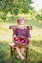 Child picking apples on farm in autumn. Little girl playing in apple tree orchard. Healthy nutrition Royalty Free Stock Photo