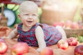 Child picking apples on farm in autumn. Little girl playing in apple tree orchard. Healthy nutrition Royalty Free Stock Photo