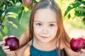 Child picking apples on farm in autumn. Little girl playing in apple tree orchard. Healthy nutrition Royalty Free Stock Photo