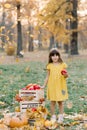 Child picking apples on farm in autumn. Little girl playing in apple tree orchard. Healthy nutrition Royalty Free Stock Photo