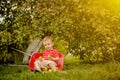 Child picking apples on a farm. Little boy playing in apple tree orchard. Kid pick fruit and put them in a wheelbarrow. Baby Royalty Free Stock Photo