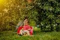 Child picking apples on a farm. Little boy playing in apple tree orchard. Kid pick fruit and put them in a wheelbarrow. Baby Royalty Free Stock Photo