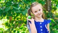 Child picking apples on farm in summer. Little girl playing in tree orchard. Healthy nutrition. Cute little girl holding green