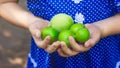 Child picking apples on farm in summer. Little girl playing in tree orchard. Healthy nutrition. Cute little girl holding red