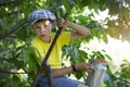 The child is picking cherries in the garden Royalty Free Stock Photo