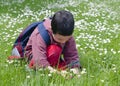 Child picking daises Royalty Free Stock Photo