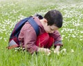 Child picking daises Royalty Free Stock Photo