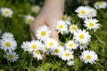 Child picking daisies Royalty Free Stock Photo