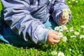 Child Picking Daisies Royalty Free Stock Photo