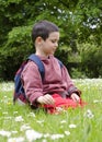 Child picking daisy flowers in spring Royalty Free Stock Photo