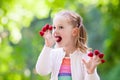 Child picking and eating raspberry in summer