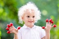 Child picking and eating raspberry in summer Royalty Free Stock Photo