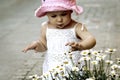 Child picking flowers Royalty Free Stock Photo