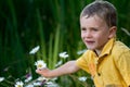 Child picking flowers Royalty Free Stock Photo