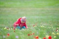 A child picking flowers Royalty Free Stock Photo