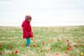 A child picking flowers Royalty Free Stock Photo