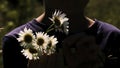 A child picking flowers in a field. Creative. A small child who collects white daisies in a field . Royalty Free Stock Photo