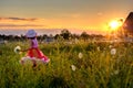 Child picking flowrs Royalty Free Stock Photo