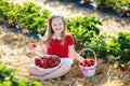 Kids pick strawberry on berry field in summer