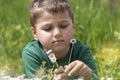 Child picking white daisies in spring meadow. Boy relaxing on nature. Family vacation, summer holiday, weekend outdoor Royalty Free Stock Photo