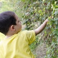 Child picking wild berries