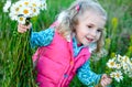 Child picking wild daisy flowers in field