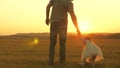 Child picks flowers in a meadow with his father. Little daughter walks with dad in meadow holding hands. child holds