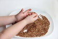 A child picks up buckwheat porridge, hands of a child and porridge on a white background