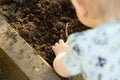 Child planting tomato seedlings in greenhouse. Organic gardening and growth concept