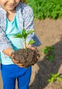 child plants and watering plants in the garden. Selective focus Royalty Free Stock Photo