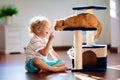 Child playing with cat at home. Kids and pets Royalty Free Stock Photo