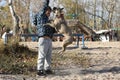 Child playing with dog outdoor. Playing french bulldog dog with baby boy Royalty Free Stock Photo