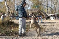 Child playing with dog outdoor. Playing french bulldog dog with baby boy Royalty Free Stock Photo