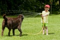 Child Playing Dog Water Cooling Royalty Free Stock Photo