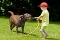 Child Playing Dog Water Cooling Royalty Free Stock Photo