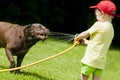Child Playing Dog Water Cooling Royalty Free Stock Photo
